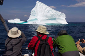 Click photo for more info about The Iceberg Festival
