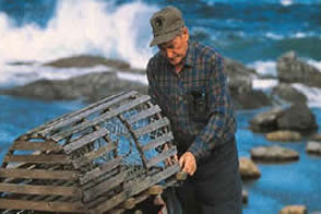Local Scenery - Fisherman stacking traps